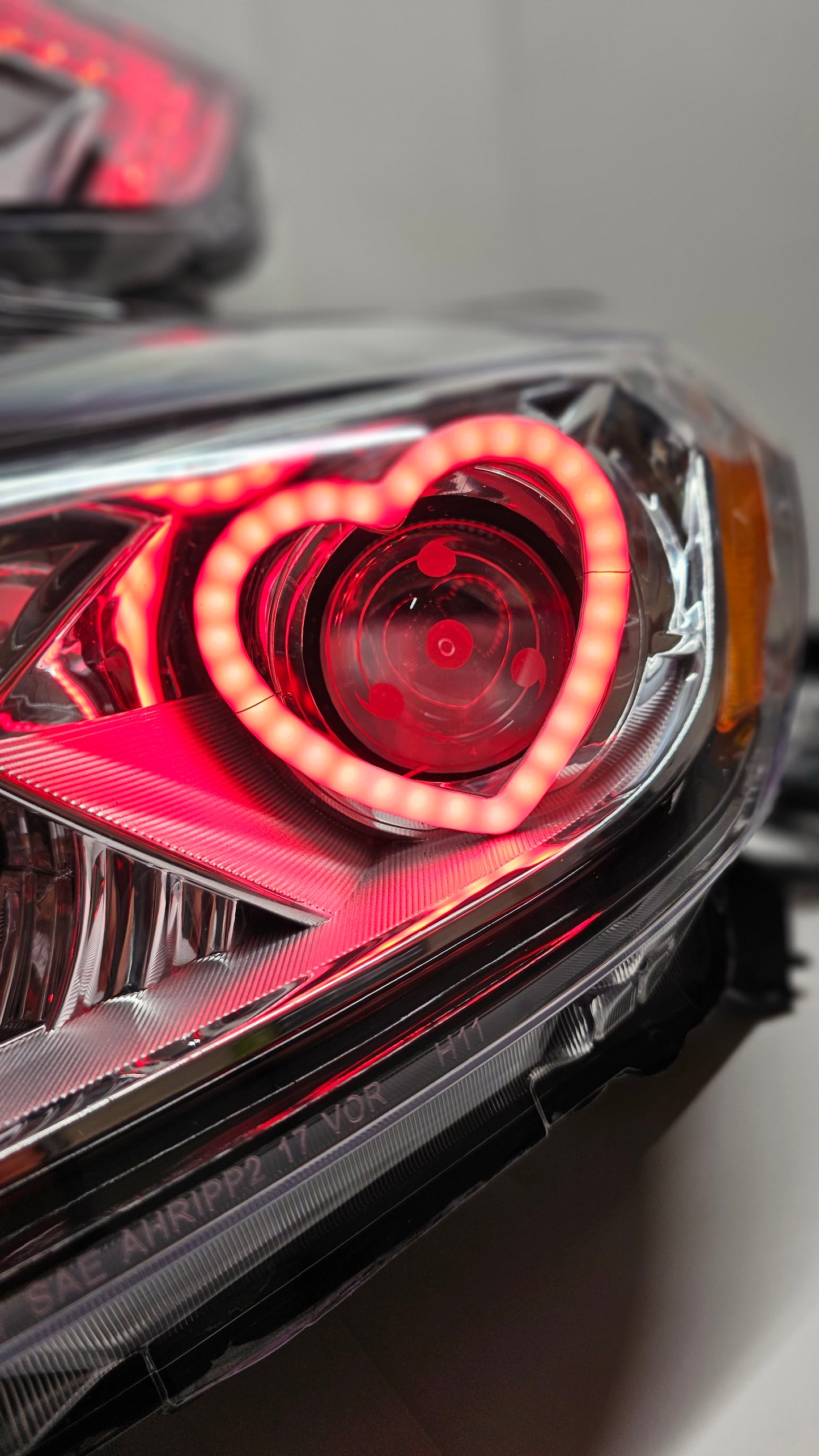 DYNAMIC Heart Color Flow Halos