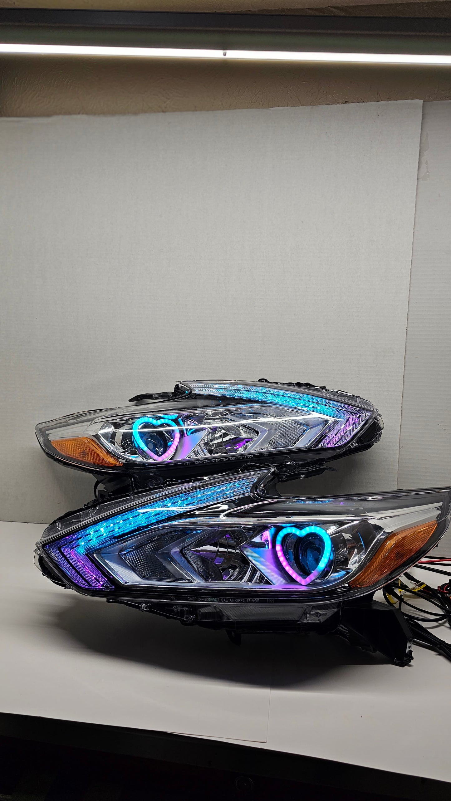 DYNAMIC Heart Color Flow Halos